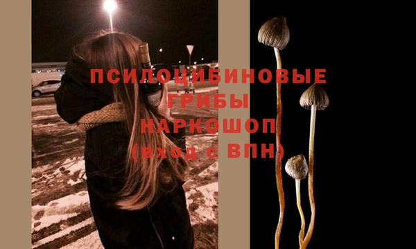 молекула духа Дмитриев