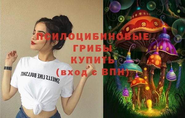 прущий лед Дмитровск