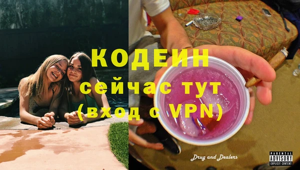 молекула духа Дмитриев