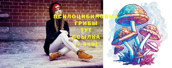 прущий лед Дмитровск