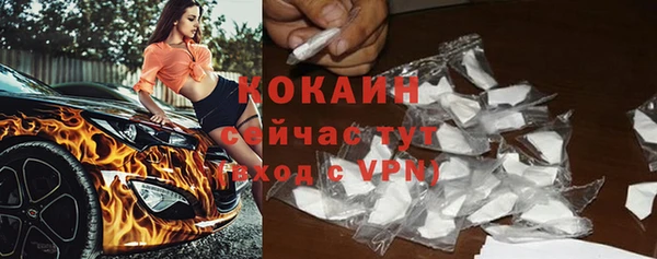 хмурый Гусев