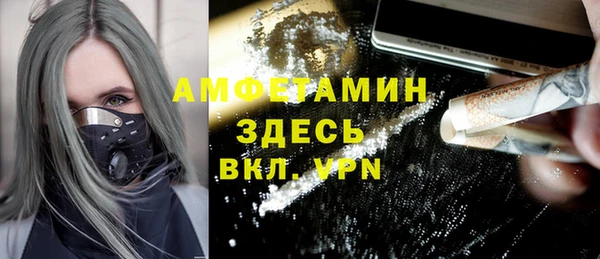 молекула духа Дмитриев