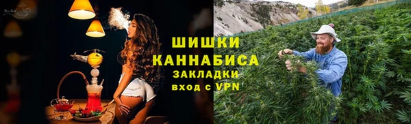 молекула духа Дмитриев